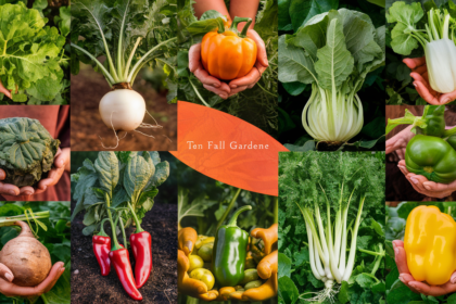 10 Must Grow Vegetables for Your Fall Garden A Month by Month Guide