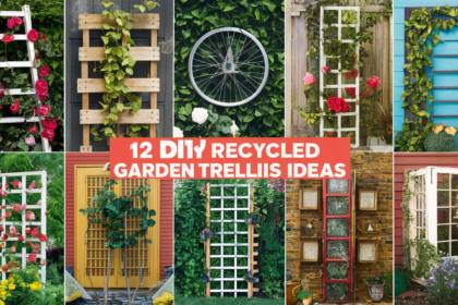 Upcycle Your Garden 12 DIY Recycled Garden Trellis Ideas