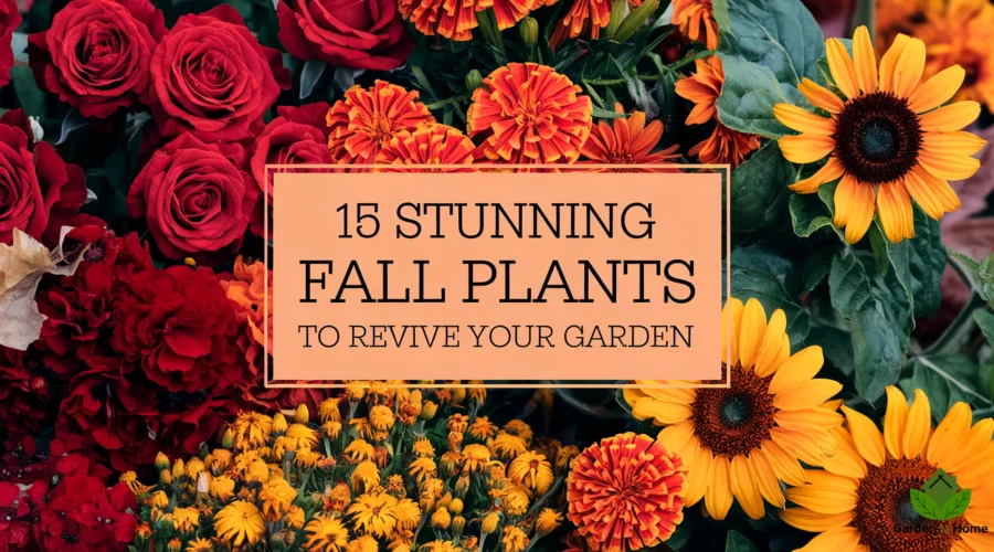 15 Stunning Fall Plants to Revive Your Garden